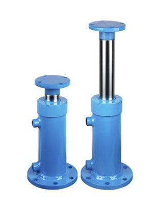 Outrigger Vertical Cylinder